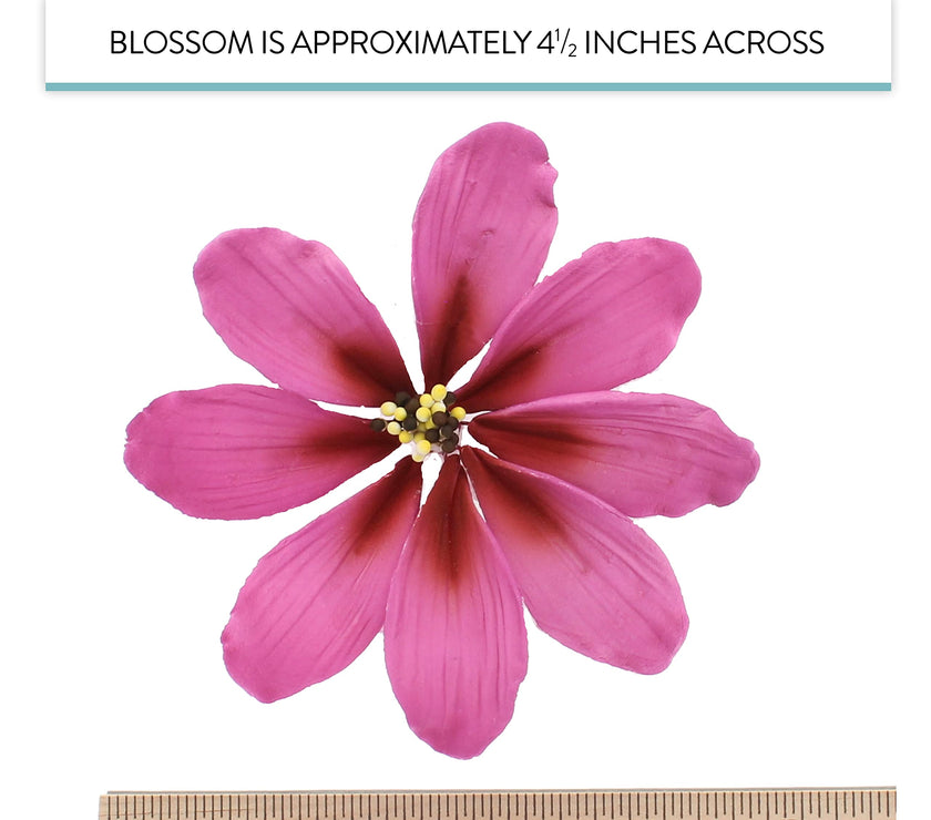 Global Sugar Art Cosmos Sugar Cake Flowers, Pink, Large, 3 Count by Chef Alan Tetreault