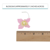 Hydrangea Blossoms, Flat Sugar Flowers by Global Sugar Art, 24 Count Pink