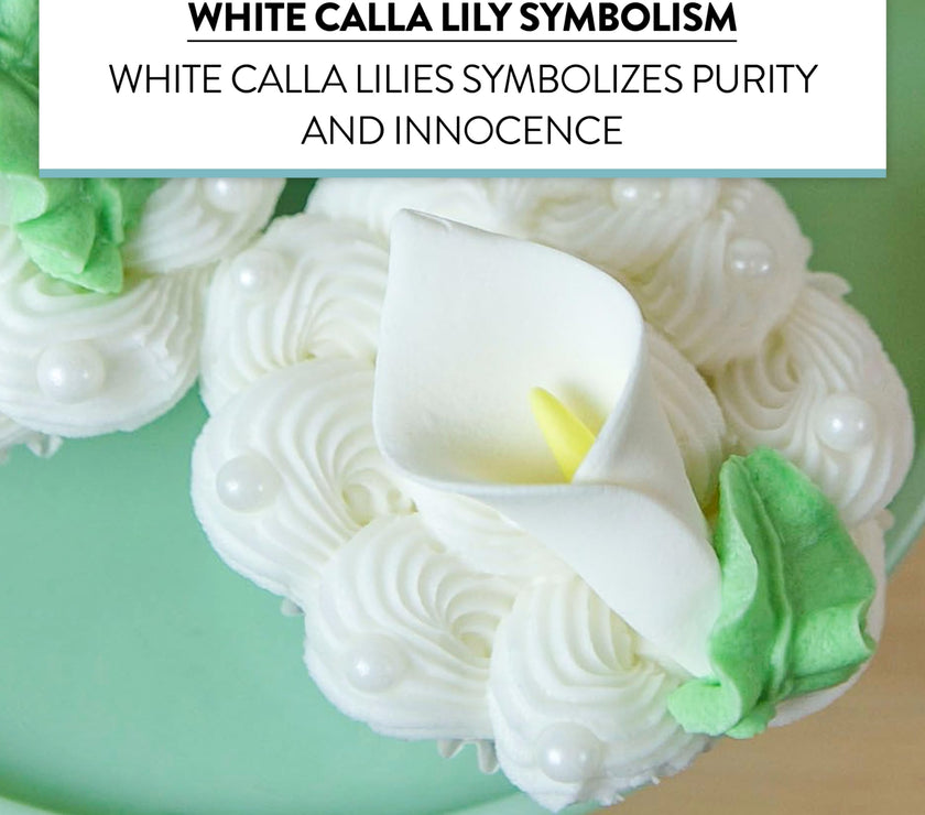 Calla Lily Sugar Cake Flowers by Global Sugar Art, White with Yellow, Unwired, Medium, 18 Count