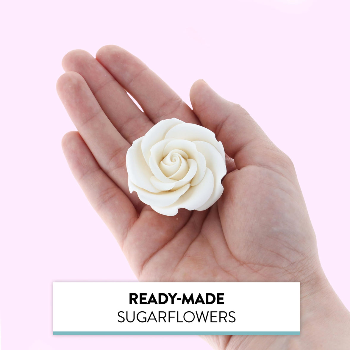 Rebecca Roses, Gum Paste Flowers for Cakes, by Global Sugar Art, White, Medium