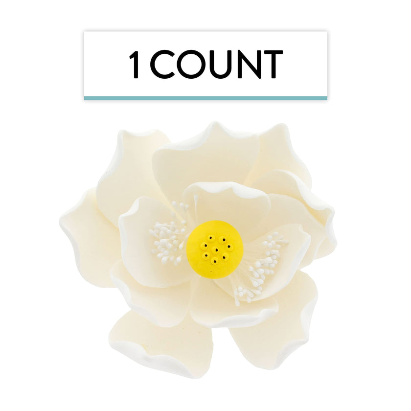 Global Sugar Art Lotus Blossom Sugar Cake Flowers White Jumbo, 1 Count by Chef Alan Tetreault