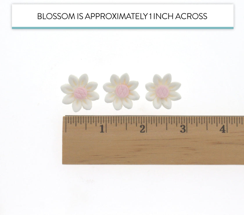 Edible Daisy Cake Decorations, White and Pink Sugar Flowers, Unwired 3/4 Inch, Daisy Cupcake Toppers, Edible Flowers Cake Decorations by Chef Alan Tetreault, Global Sugar Art