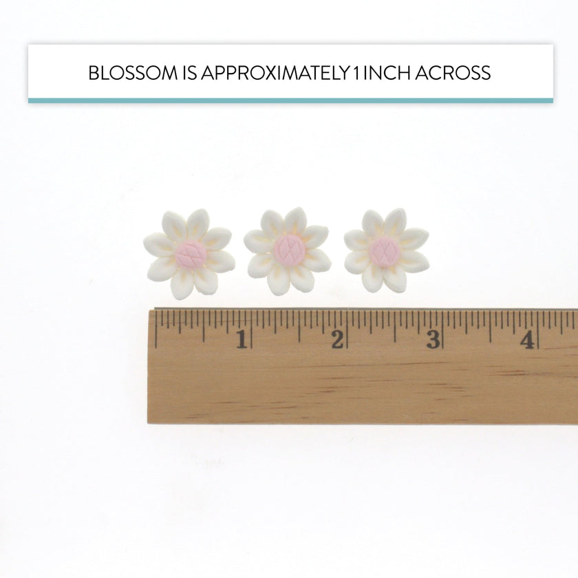 Edible Daisy Cake Decorations, White and Pink Sugar Flowers, Unwired 3/4 Inch, Daisy Cupcake Toppers, Edible Flowers Cake Decorations by Chef Alan Tetreault, Global Sugar Art
