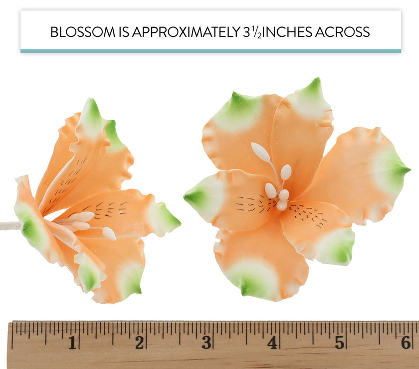 Global Sugar Art Orange Alstroemeria Sugar Cake Flowers by Chef Alan Tetreault, 3 Count