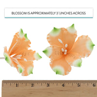 Global Sugar Art Orange Alstroemeria Sugar Cake Flowers by Chef Alan Tetreault, 3 Count