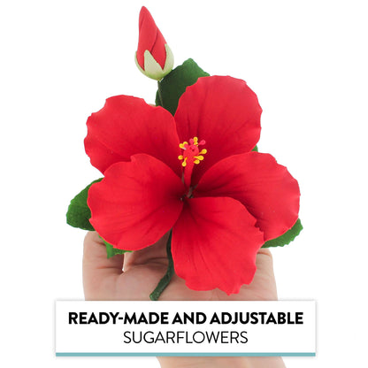 Red Tropical Hibiscus with Leaves