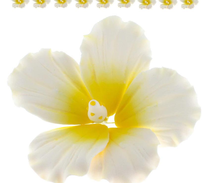 Hibiscus Sugar Cake Flowers, White and Yellow Tropical Sugar Flowers, by Global Sugar Art