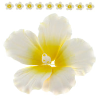 Hibiscus Sugar Cake Flowers, White and Yellow Tropical Sugar Flowers, by Global Sugar Art