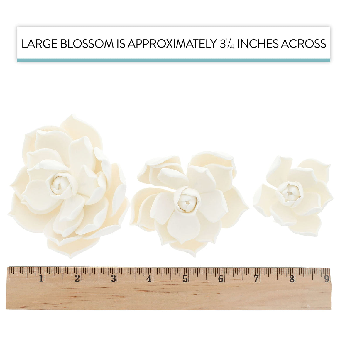 Global Sugar Art Succulent Parva Sugar Cake Flowers, White Assortment, 3 Count by Chef Alan Tetreault