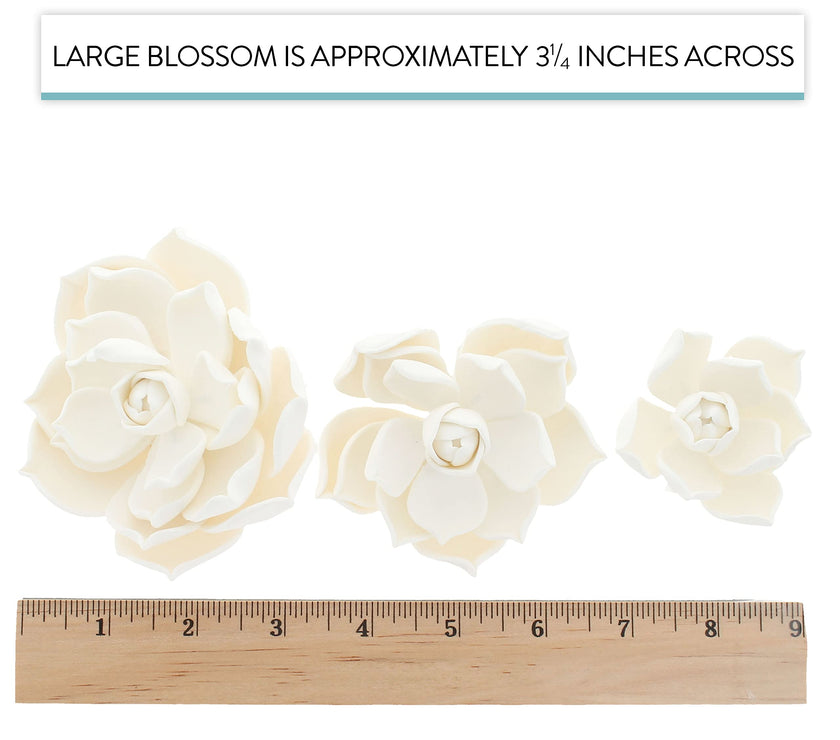 Global Sugar Art Succulent Parva Sugar Cake Flowers, White Assortment, 3 Count by Chef Alan Tetreault