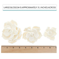 Global Sugar Art Succulent Parva Sugar Cake Flowers, White Assortment, 3 Count by Chef Alan Tetreault