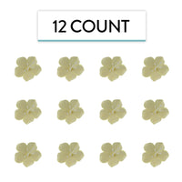 Global Sugar Art Fruit Blossom Sugar Cake Flowers by Chef Alan Tetreault