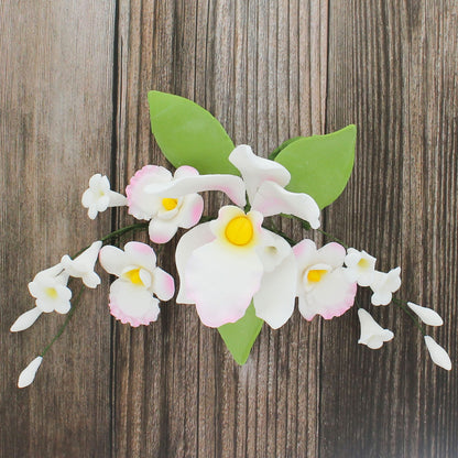 Pink and White Cymbidium Orchid Spray