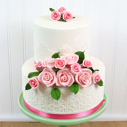Pink Peace Rose, 2-inch