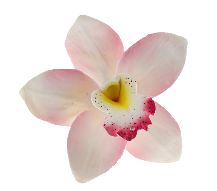 Orchid Sugar Cake Flowers, Cymbidium Orchids, by Global Sugar Art, Pink, 3 Count