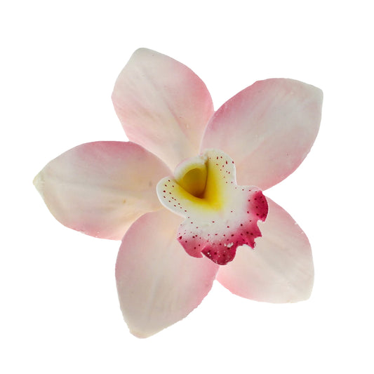 Pink Cymbidium Orchids, 3 Count