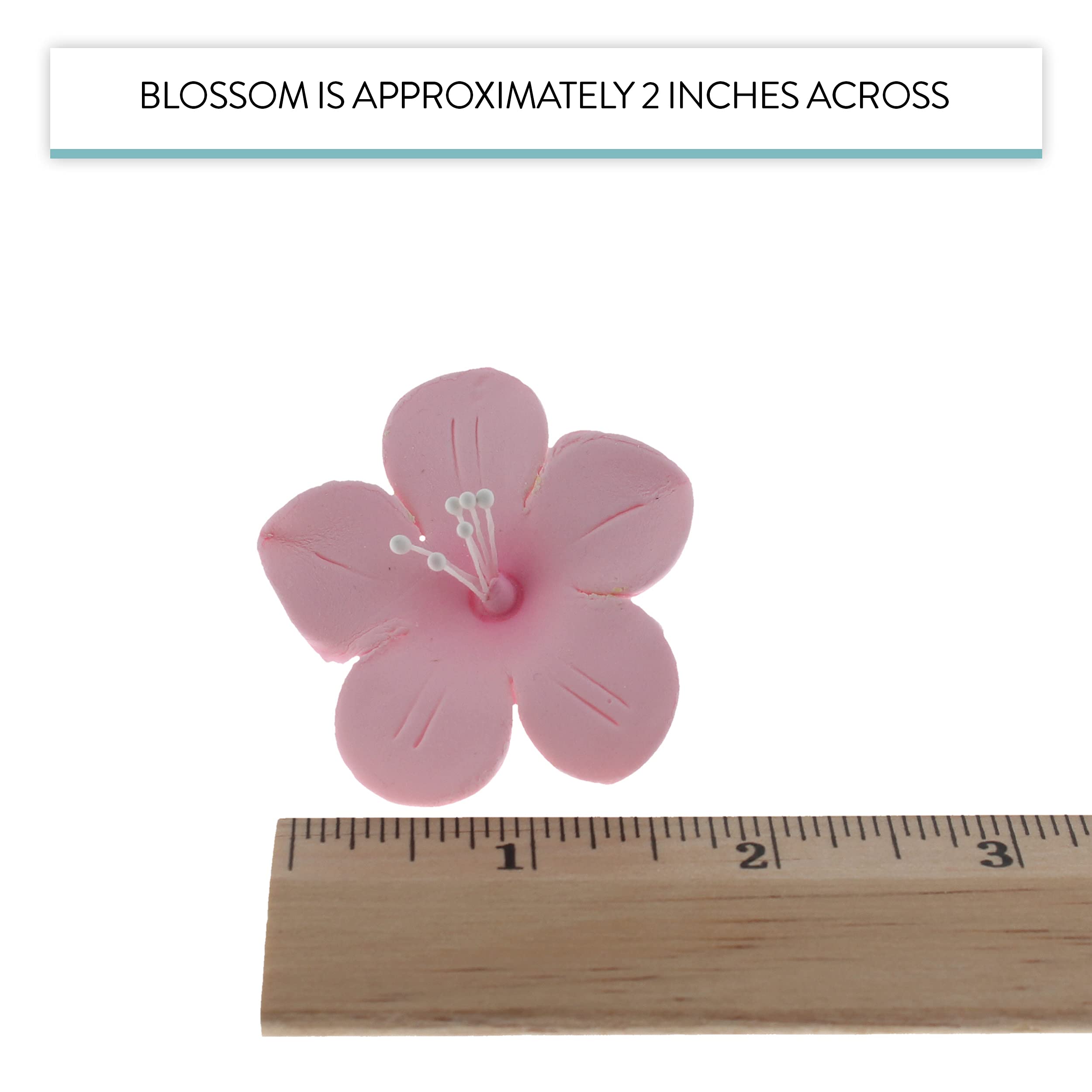 Global Sugar Art Fruit Blossom Sugar Cake Flowers by Chef Alan Tetreault