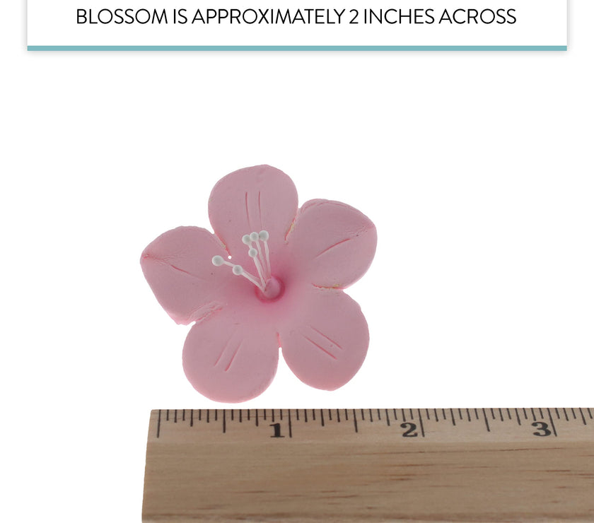 Global Sugar Art Fruit Blossom Sugar Cake Flowers by Chef Alan Tetreault