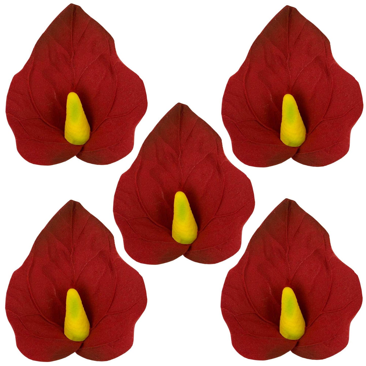 Red Anthurium, Small, 5 Count