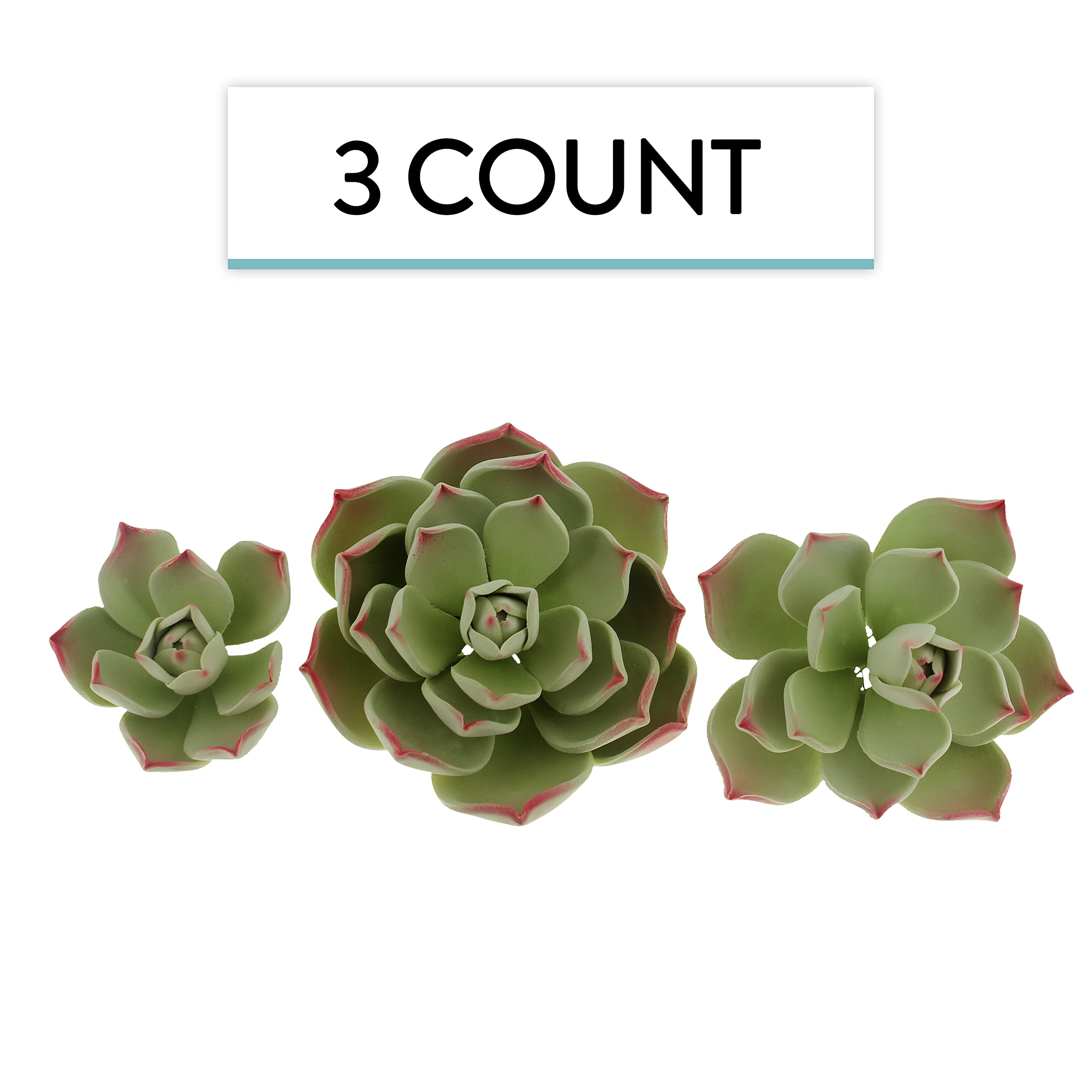 Global Sugart Art Succulents Parva Assortment Sugar Cake Flowers, 3 Count by Chef Alan Tetreault