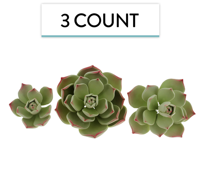 Global Sugart Art Succulents Parva Assortment Sugar Cake Flowers, 3 Count by Chef Alan Tetreault