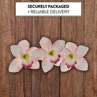 Orchid Sugar Cake Flowers, Cymbidium Orchids, by Global Sugar Art, Pink, 3 Count