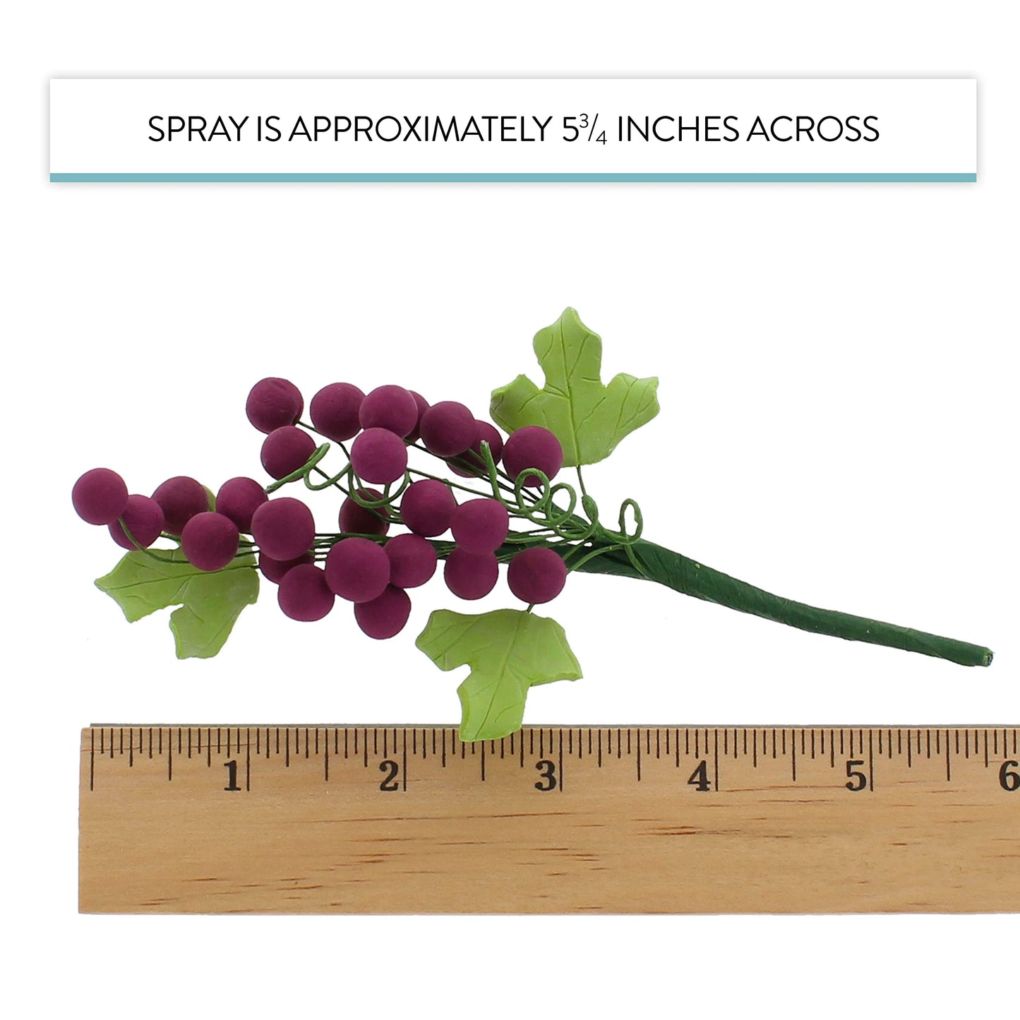 Burgundy Grapes, 3 Count