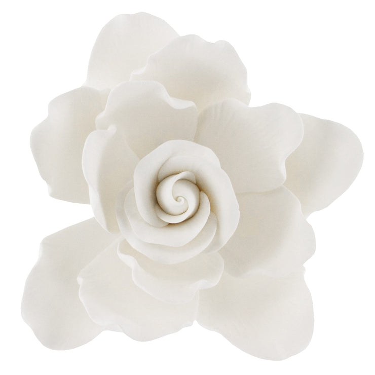 Gardenia Sugar Cake Flowers, Jumbo, White, 1 Count by Global Sugar Art