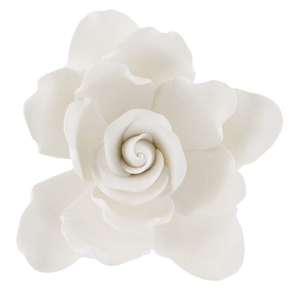 White Gardenia, Jumbo Bloom