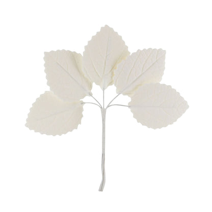 White Hydrangea Leaves