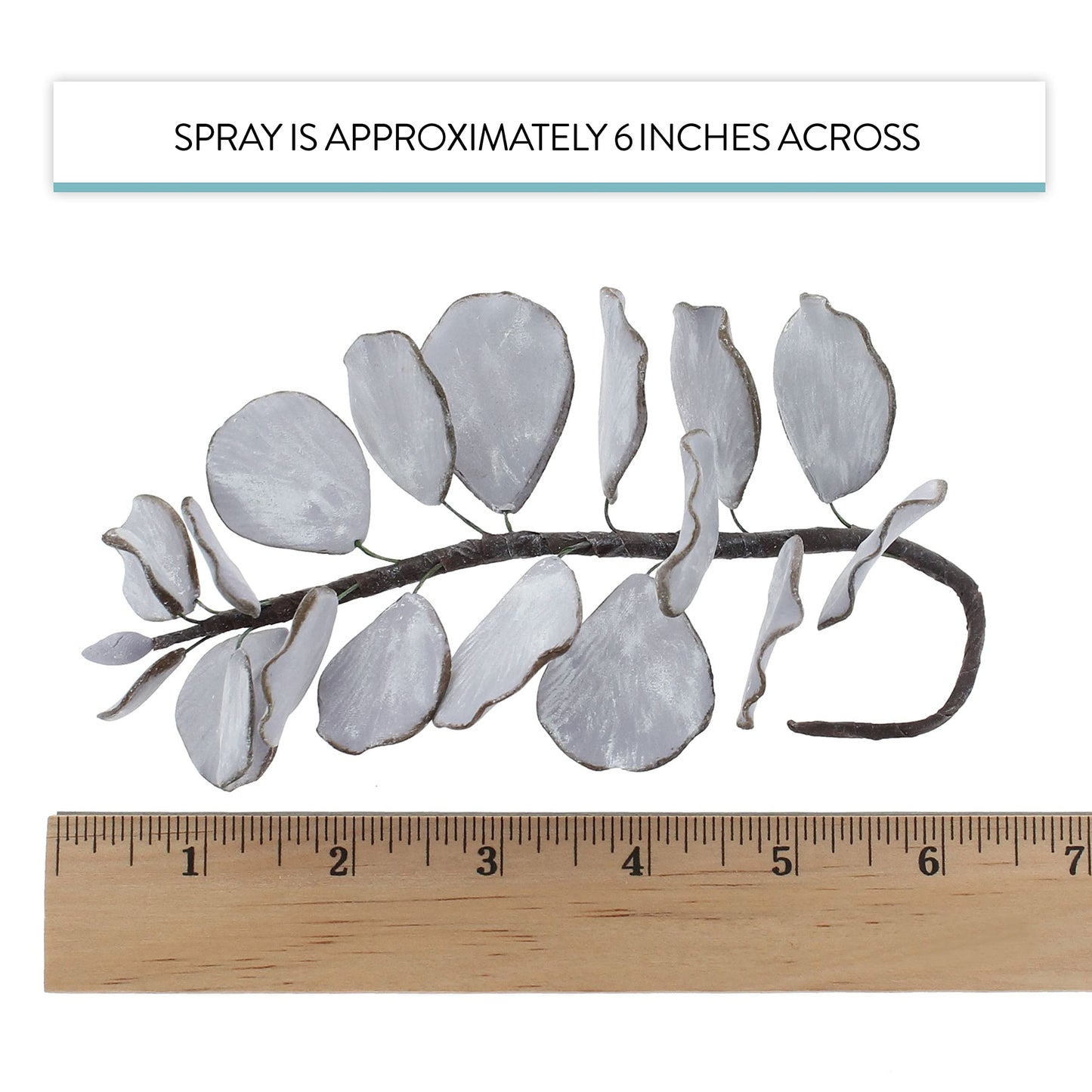 Silver Eucalyptus, 5 Count