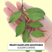 Magnolia Leaf Spray Cake Decoration by Chef Alan Tetreault, Global Sugar Art, 4 Count