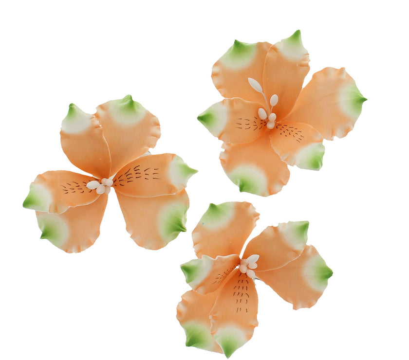 Global Sugar Art Orange Alstroemeria Sugar Cake Flowers by Chef Alan Tetreault, 3 Count
