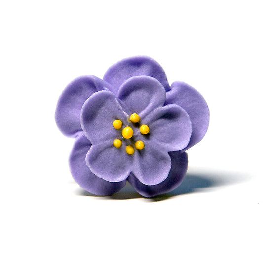 Edible Bess Blossoms, Assorted Colors