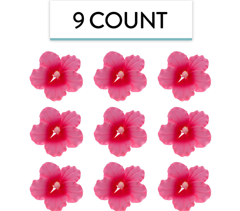 Hibiscus Sugar Cake Flowers, Pink Tropical Sugar Flowers, by Global Sugar Art