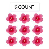 Hibiscus Sugar Cake Flowers, Pink Tropical Sugar Flowers, by Global Sugar Art