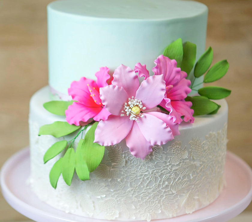 Clematis Gum Paste Sugar Cake Flowers by Global Sugar Art, Pink, 3 Count