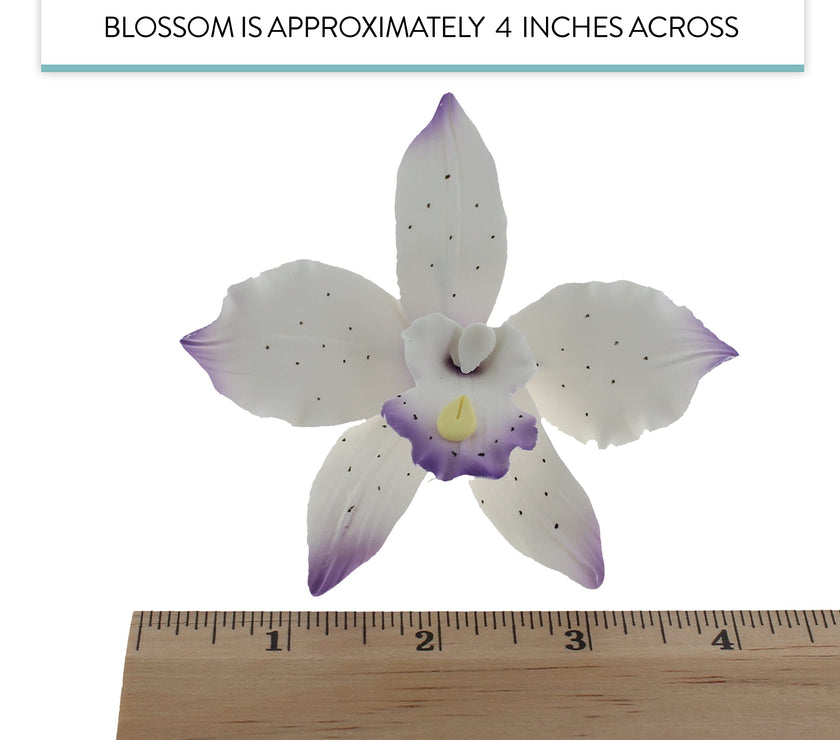 Orchid Sugar Cake Flowers, Brassavola Style Orchids, by Global Sugar Art, 3 Count, Purple