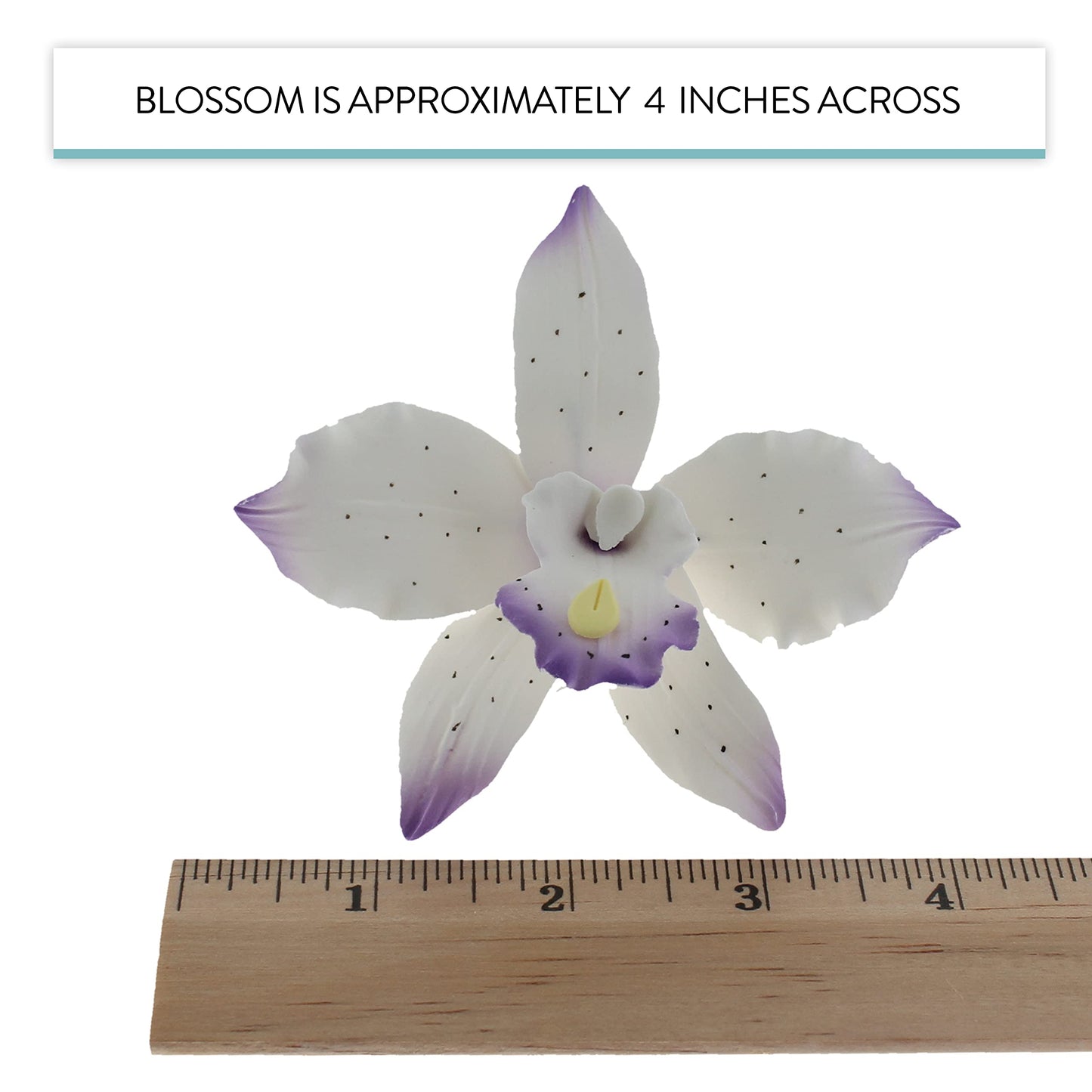 Purple Tipped Brassavola Orchids, 3 Count