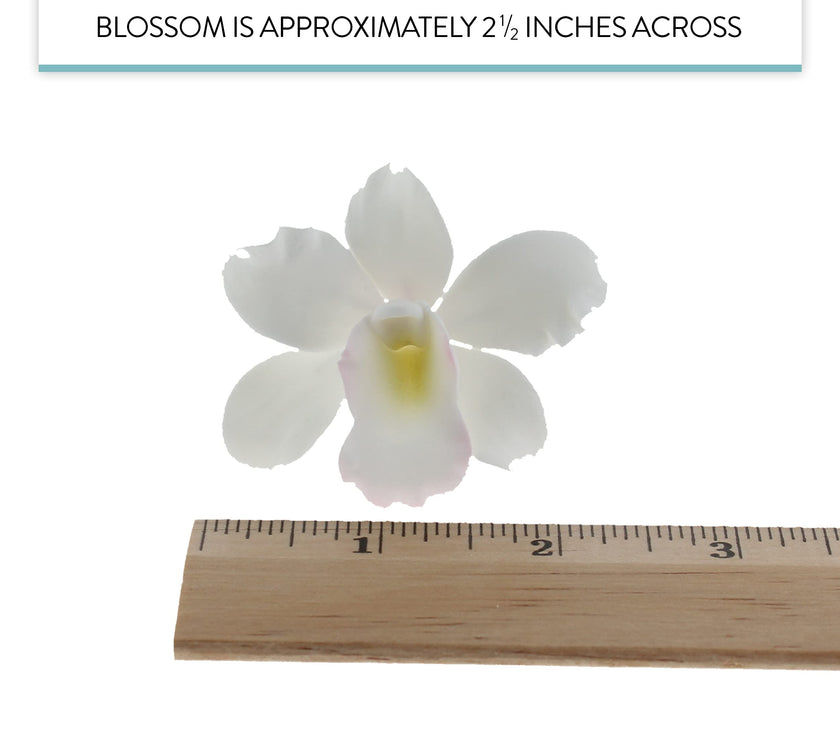 Orchid Sugar Cake Flowers, Pearly Orchids, by Global Sugar Art, Small, White, 6 Count