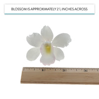 Orchid Sugar Cake Flowers, Pearly Orchids, by Global Sugar Art, Small, White, 6 Count