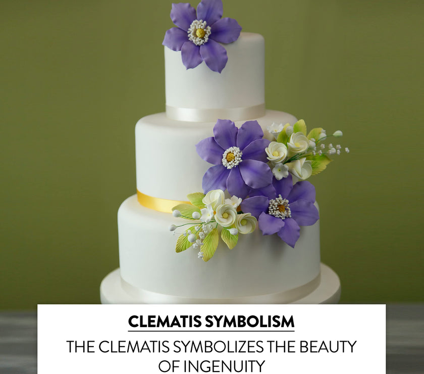 Clematis Gum Paste Sugar Cake Flowers by Global Sugar Art, Purple, 3 Count