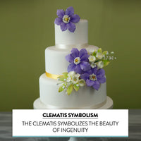 Clematis Gum Paste Sugar Cake Flowers by Global Sugar Art, Purple, 3 Count