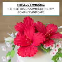 Hibiscus Sugar Cake Flowers, Red Tropical Sugar Flowers, by Global Sugar Art