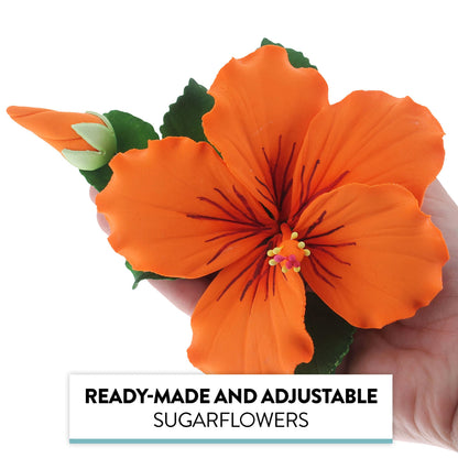 Orange Tropical Hibiscus with Leaves