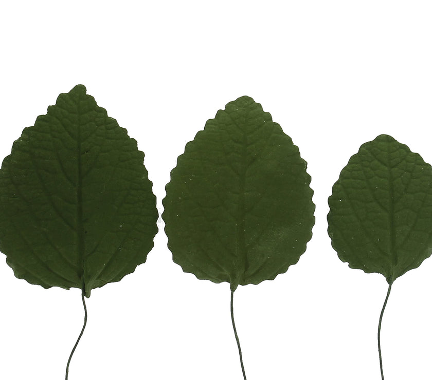 Hydrangea Leaves, Gum Paste Cake Decorations by Global Sugar Art, Green, Multiple Sizes