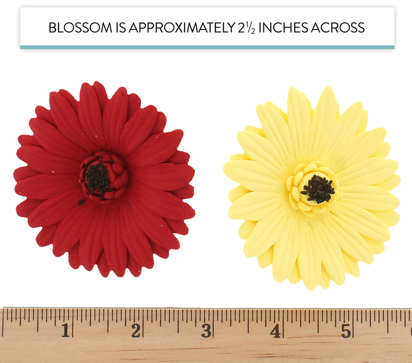 Global Sugar Art Gerbera Daisy Sugar Cake Flowers, Mixed Colors, 8 Count by Chef Alan Tetreault