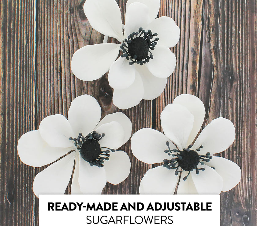 Global Sugar Art Sugar White and Black Anemone by Chef Alan Tetreault, 3 Count
