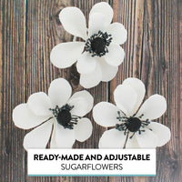 Global Sugar Art Sugar White and Black Anemone by Chef Alan Tetreault, 3 Count