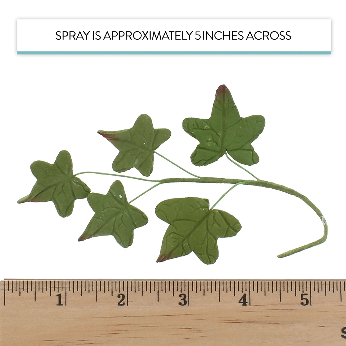 Ivy Leaf  Spray  Cake Decoration by Chef Alan Tetreault, Global Sugar Art, 5 Count